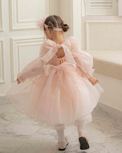 Oren CL Organza Dress - Pink  (Ready Stock)