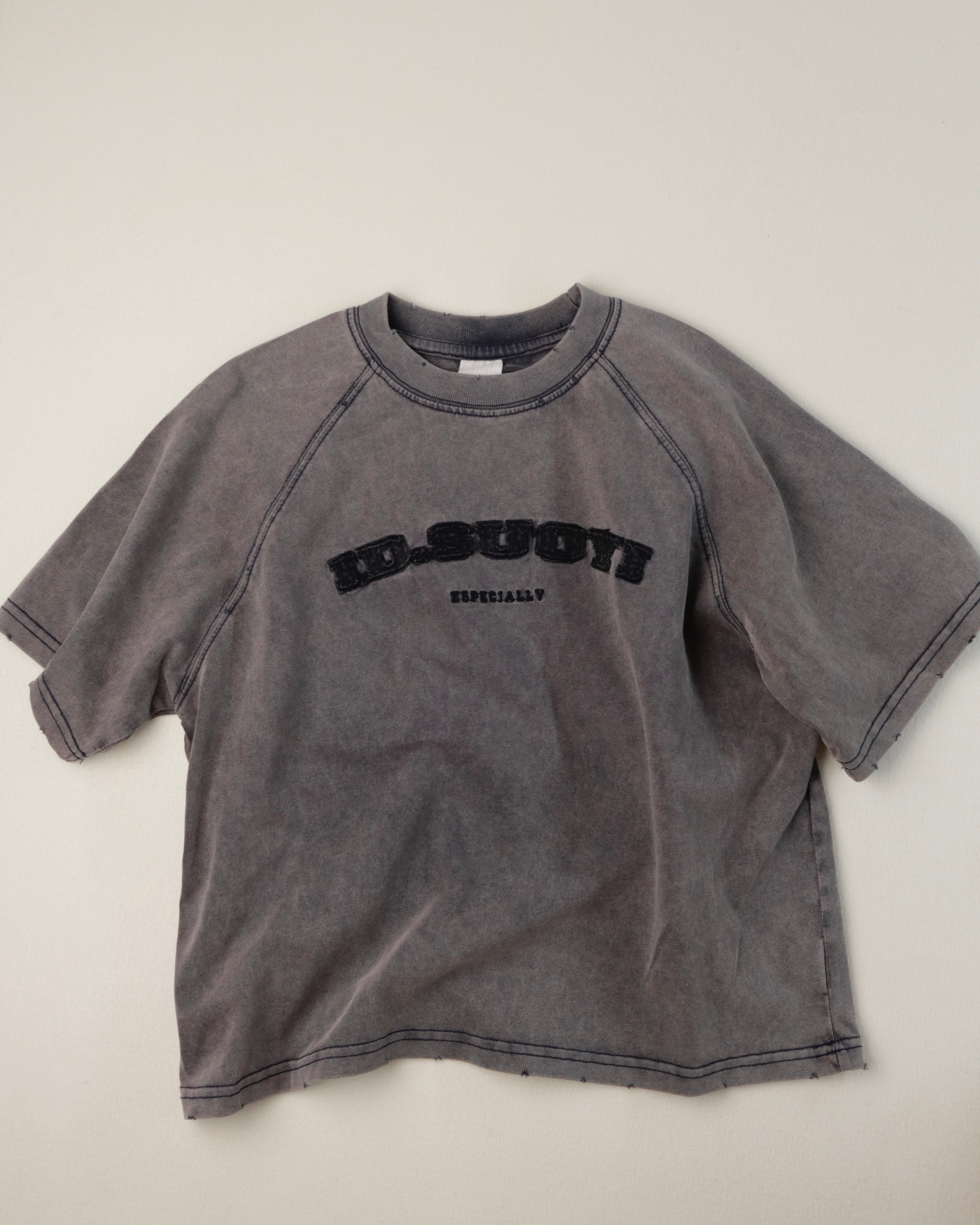Anna Casual Distressed Tee - Grey