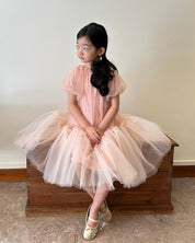 PH Tulle Dress (Ready Stock)