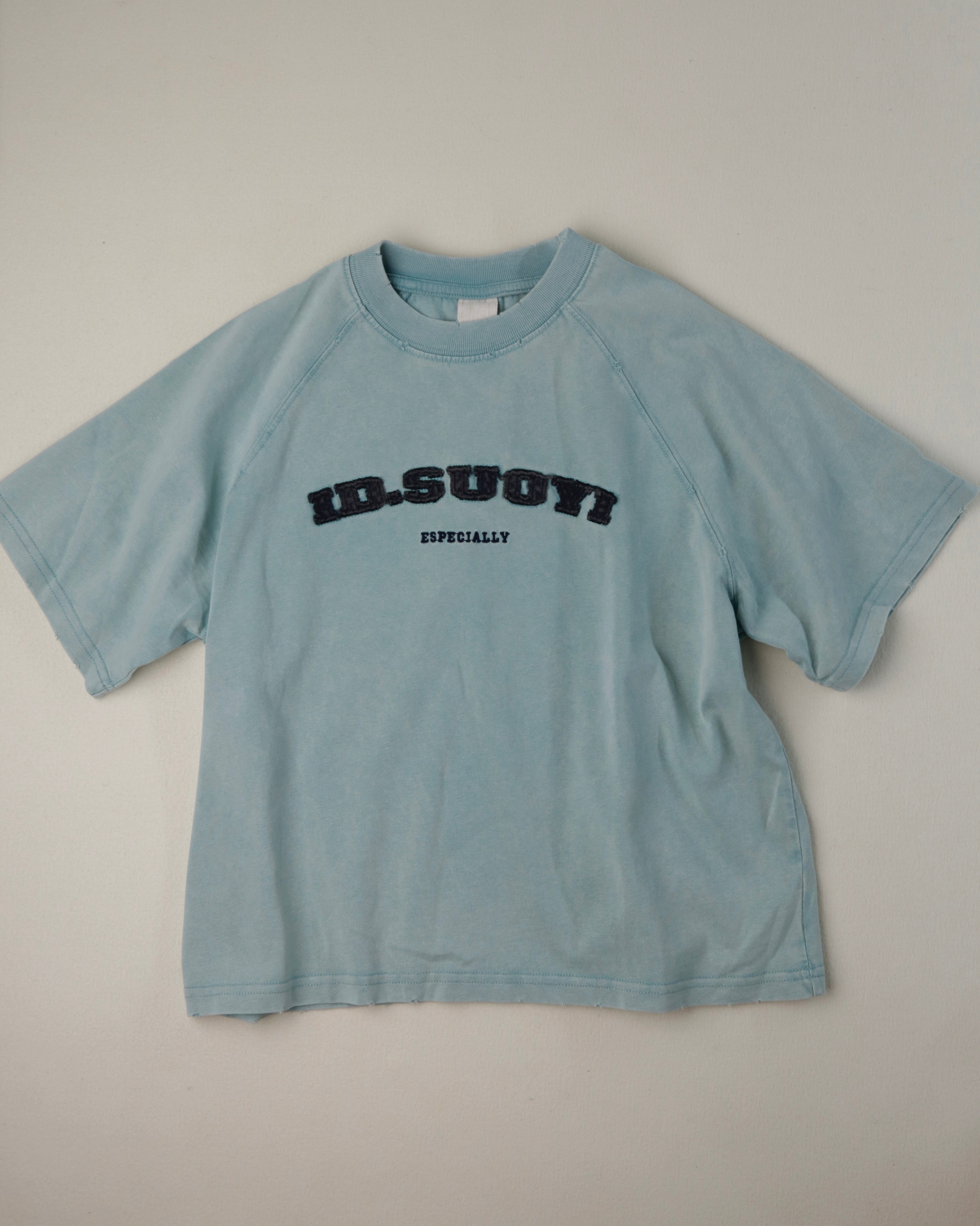 Anna Casual Distressed Tee