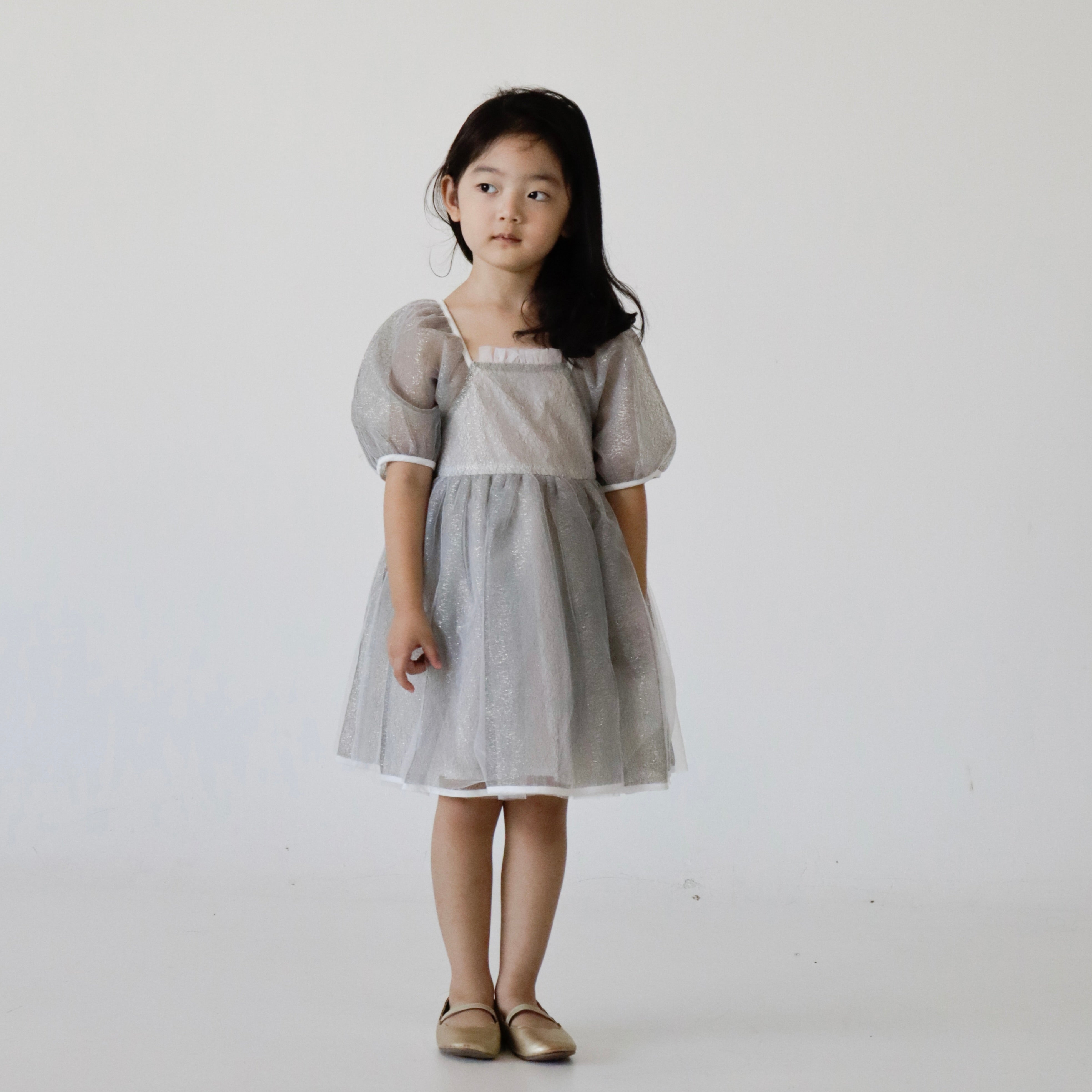 Silver Flare Dress (Ready Stock)