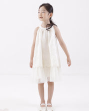 Embroidery Tulle Dress (Ready Stock)