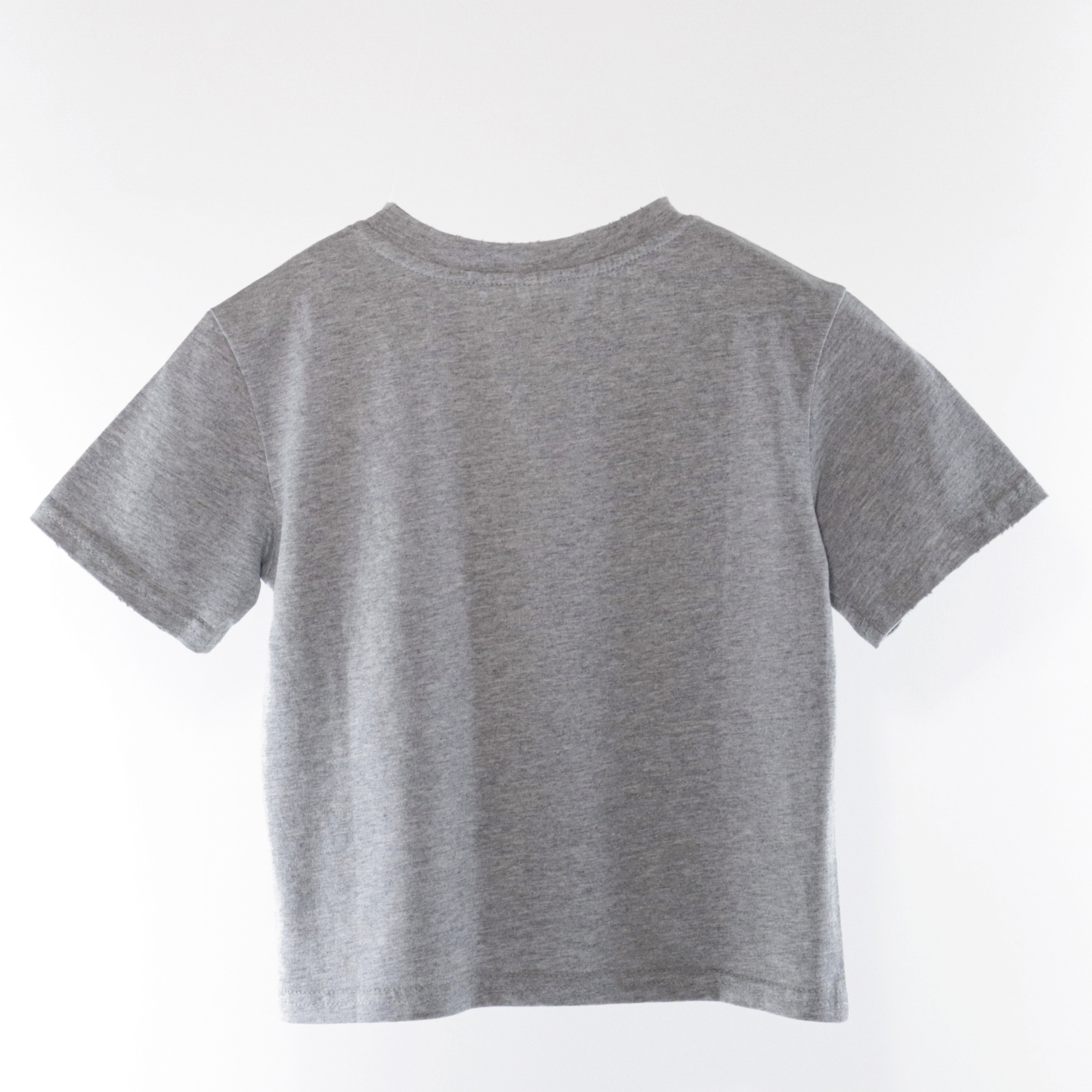 Resume Home Distressed Grey Tee (Ready Stock)